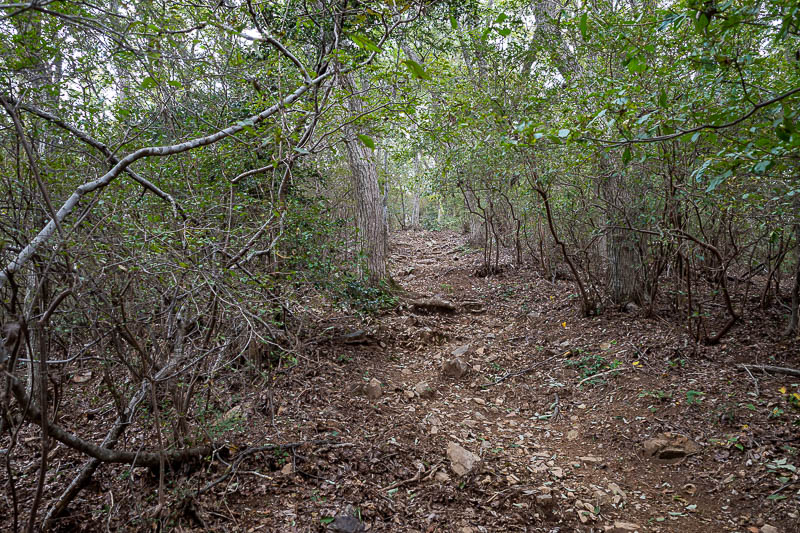 Japan-Tokyo-Hiking-Iwafuneyama-Koishiyama - This bit was very steep, although does not look to be.
