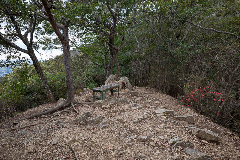 Japan-Tokyo-Hiking-Iwafuneyama-Koishiyama - I sat here and appreciated the flowers and my Pocari Sweat (drink).