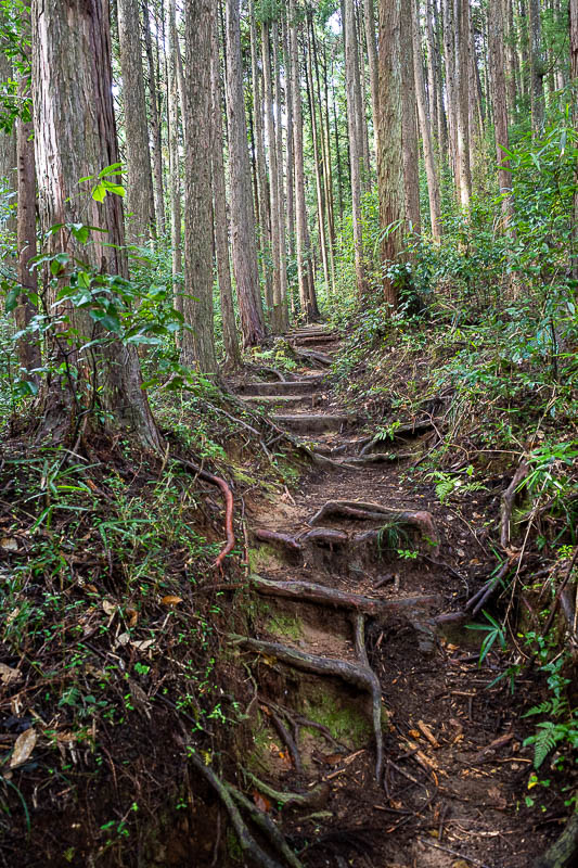 Japan-Tokyo-Hiking-Mitake-Hinodesan - As mentioned, I have done this hike before, it was all coming back to me now. No spider webs so I was not first today, however I saw almost no other p