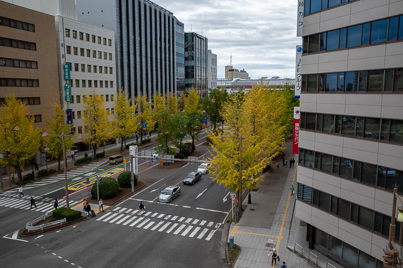 Japan visit #14 - October and November 2026 - I even have an opening window. Photo from said window. That is enough hotel photos for now.