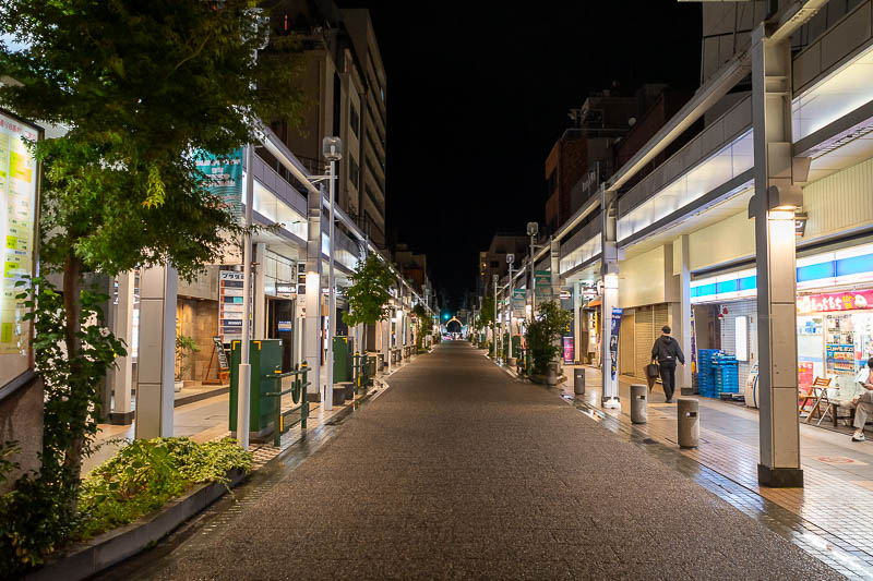 Japan-Niigata-Furumachi - We also have the partially covered variety.