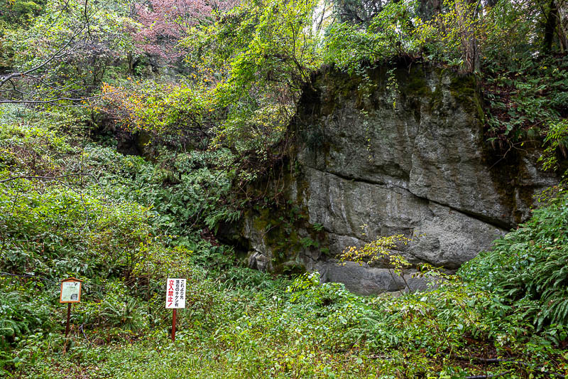 Japan-Niigata-Hiking-Bodaijiyama - My map made a big deal out of this rock, so here it is.