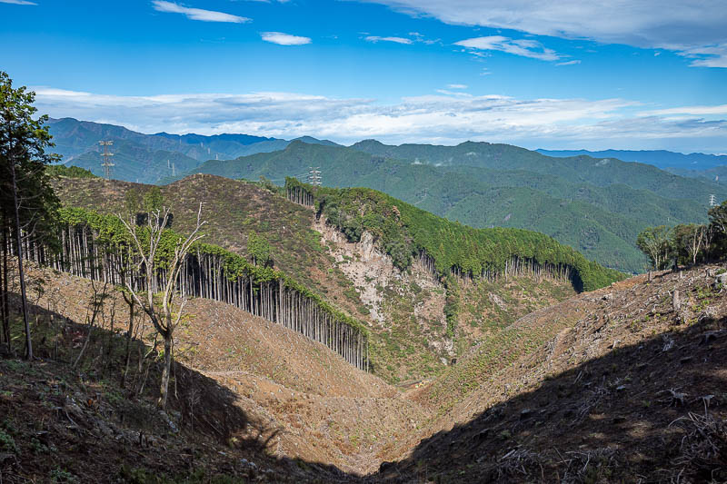 Japan-Tokyo-Hiking-Mitake-Hinodesan - A view of forest devastation. Nice blue sky though. Not really typhoon-y yet.