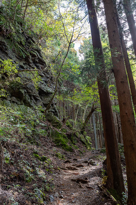 Japan-Tokyo-Hiking-Mitake-Hinodesan - According to my hiking map, this is a famous spot to take Autumn leave photos. I am too early for that.
