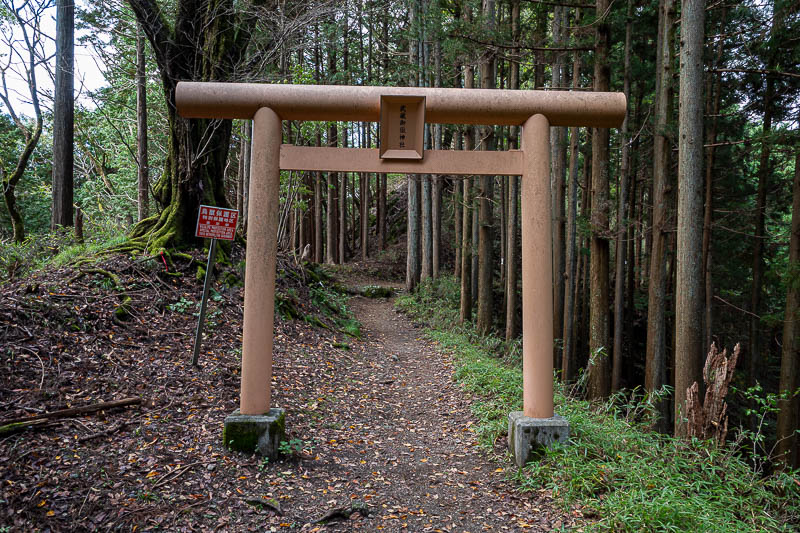 Japan-Tokyo-Hiking-Mitake-Hinodesan - Getting near Mitake.