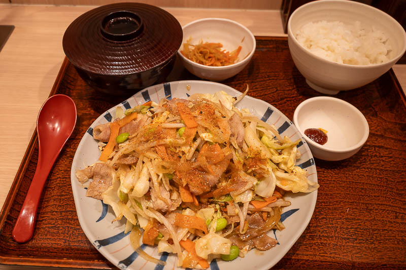 Japan-Tokyo-Akihabara-Rain - I chose a pork stir fry set for my dinner. It seemed the healthiest option. Lots of vegetables, and most importantly, cheap.