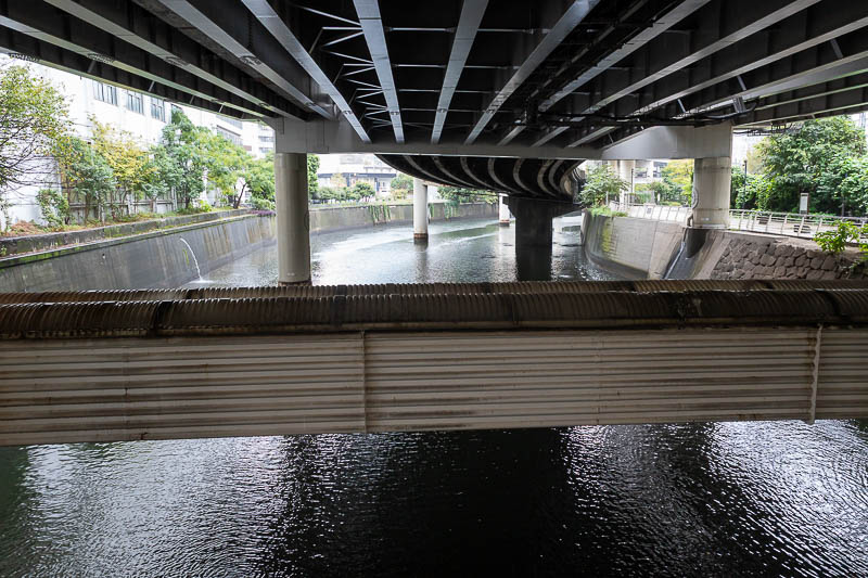 Japan-Tokyo-Ueno-Rain - A good day if you like to hang out under bridges. Which I do.