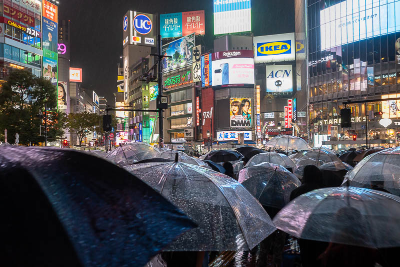 Japan-Tokyo-Shibuya-Ramen - The crossing, with nothing but umbrellas. My socks are still dry, great achievement!