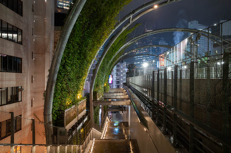 Japan-Tokyo-Shibuya-Ramen - Roof garden in the rain
