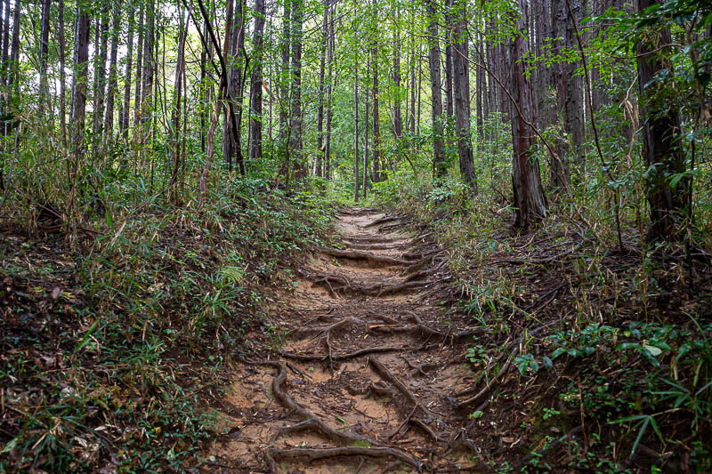 Japan-Tokyo-Hiking-Kasama-Wakaguni - From this point on the trail got real.