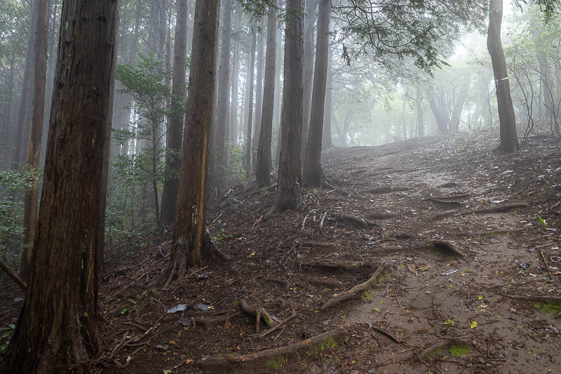 Japan-Tokyo-Hiking-Kasama-Wakaguni - Although still quite foggy.