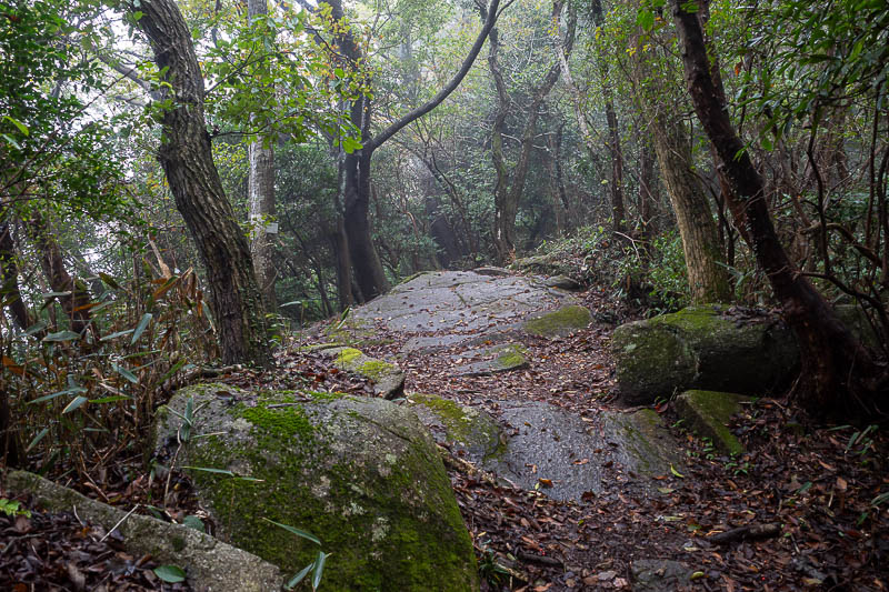 Japan-Tokyo-Hiking-Kasama-Wakaguni - An example of a mossy rocky section, quite slippery.