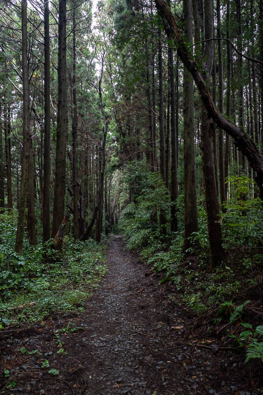 Japan-Tokyo-Hiking-Kasama-Wakaguni - It also got very dark, I guess I was in cloud.