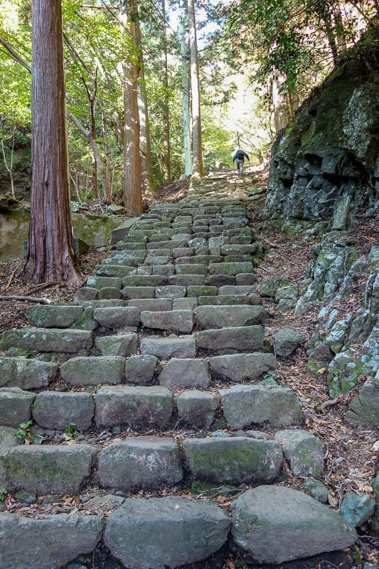 Japan 2015 - Tokyo - Nagoya - Hiroshima - Shimonoseki - Fukuoka - Instead, steps were the order of the day. Very very steep. Eventually they became natural rock outcrops with the occasional log staked in place, which