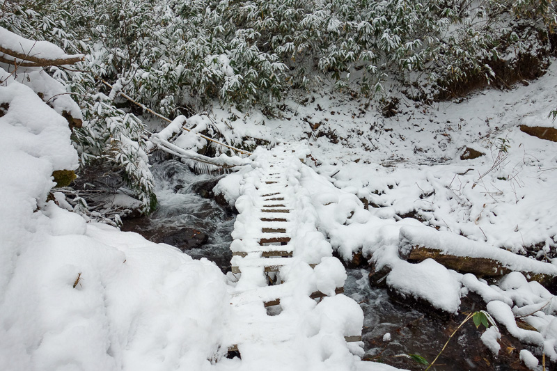 Japan-Sapporo-Hiking-Snow-Mount Soranuma - Further proof I was on the right path.