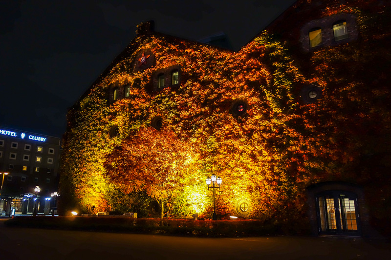 Visiting 9 cities in Japan - Oct and Nov 2016 - Tonights leaf of the night color spectacle is the outside of the Sapporo factory.