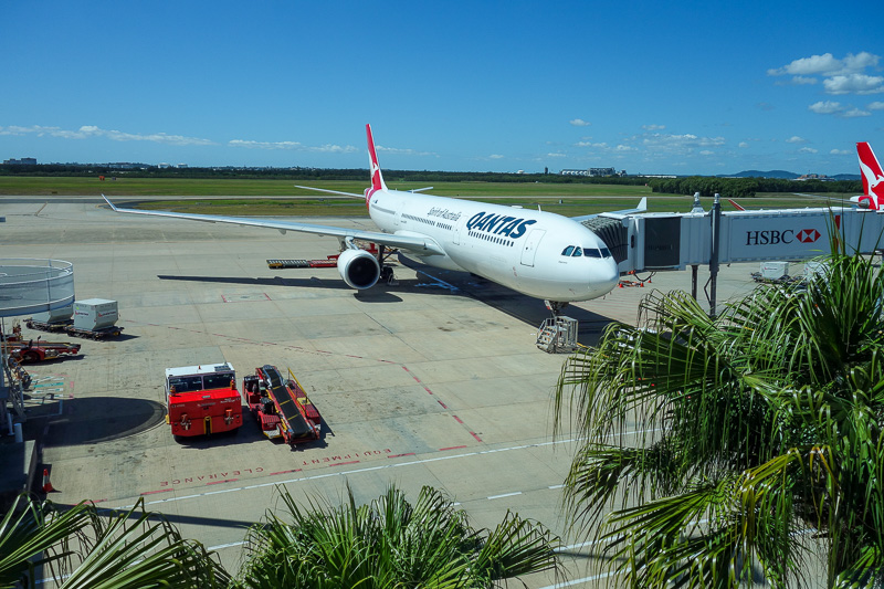 Melbourne-Brisbane-Airbus A330 - Magpie attack!
