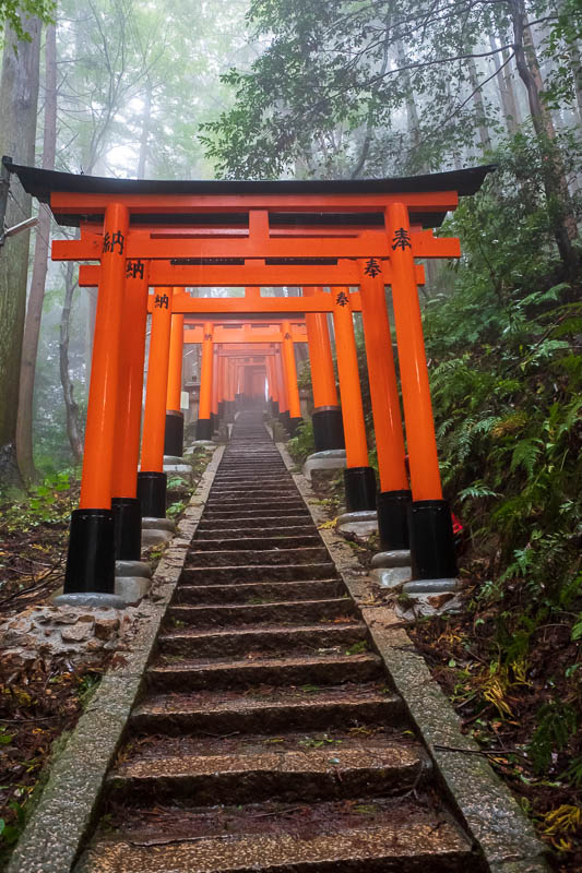 Japan-Kyoto-Fushimi Inari-Shrine-Rain - Ascend through the fog.