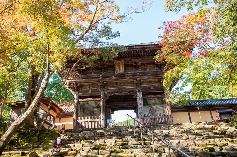 Back to Japan for even more - Oct and Nov 2017 - Ascending the steps to Jingo-Ji shremple (shrine and or temple). It had a small admission fee, I paid cause I heard theres a sporting event to partici