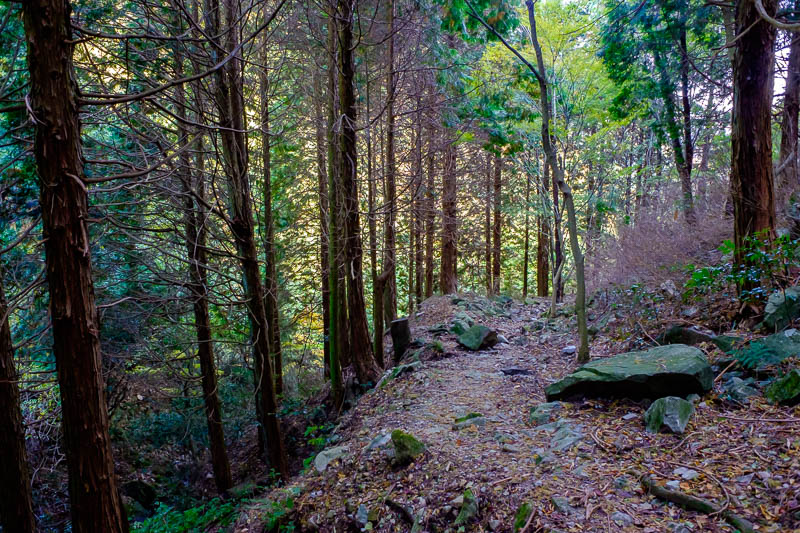 Back to Japan for even more - Oct and Nov 2017 - The long path down was great, and featured every kind of scenery, dark wooded parts, lots of streams to cross, waterfalls, colored leaves etc.