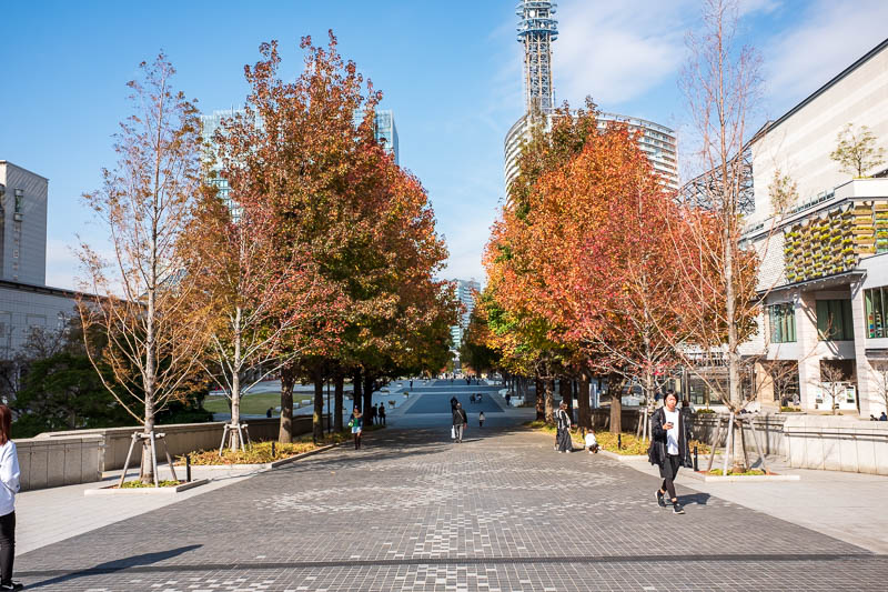 Japan-Yokohama-Architecture-Cruise Ship - This long avenue of colorful trees leads to the Nissan car company global HQ. I had read you could go in and see every old car they ever made on displ