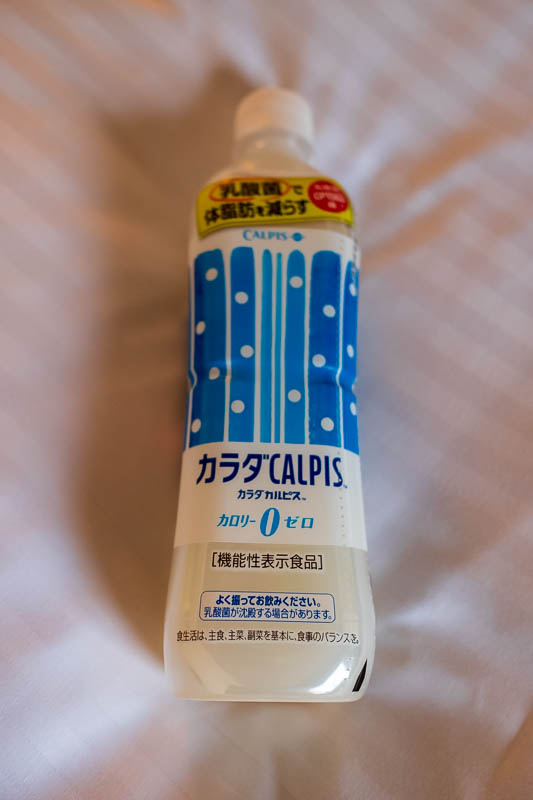 Japan-Yokohama-Architecture-Cruise Ship - And then at the Lawson, I found 0 calorie Calpis! How a fermented yoghurt drink can have zero calories is no doubt patented Japanese secret technology