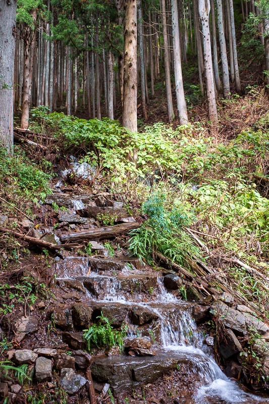 Japan-Hiking-Torisawa-Mount Ougiyama-Momokurayama - Then I climbed a waterfall for a few hundred metres.