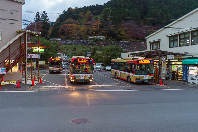 Japan-Tokyo-Hachioji-Food - The bus came on time, but it was absolutely full. I nearly landed on an old ladies lap more than once. I took a photo back at Okutama station to remem
