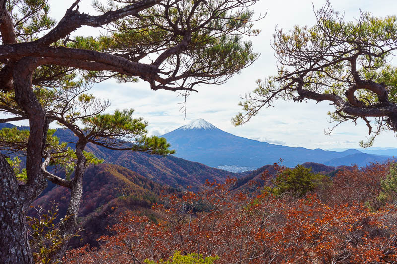 Japan-Hiking-Sasago-Seihachiyama - My short hike became very long