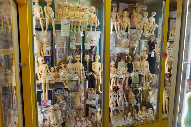 Of course I am back in Japan yet again - Oct and Nov 2018 - The creepiest photo of the day is the doll spare parts shop. Much like the other stores it goes on and on forever.