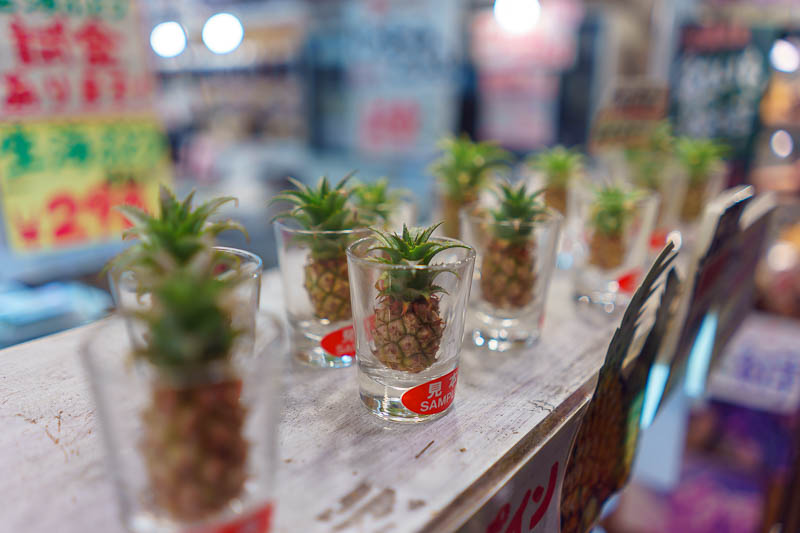 Of course I am back in Japan yet again - Oct and Nov 2018 - Did you ever wonder what baby pineapples look like? These are real! They fit inside a shot glass.