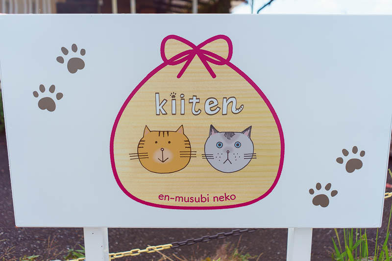 Japan-Fukuoka-Hiking-Dazaifu - Oh my god, they cut the heads off kittens and put them in a bag!