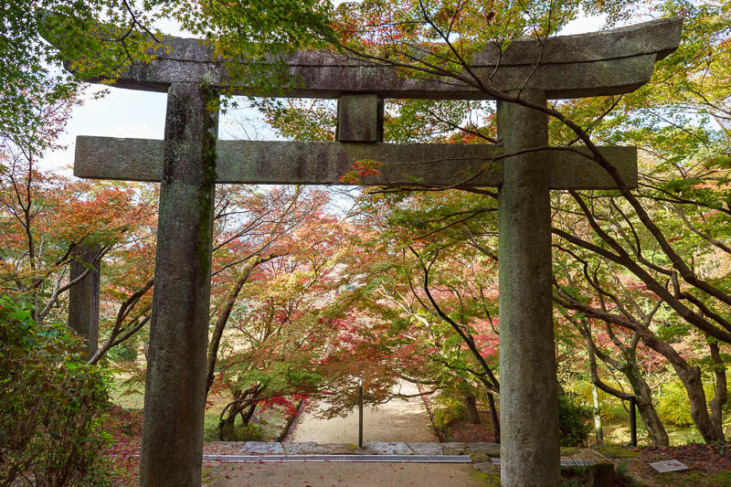Japan-Fukuoka-Hiking-Dazaifu - It was nice and colorful here, I have not been able to work the leaves out on this trip. Am I too early, too late, both?