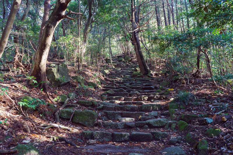 Japan-Fukuoka-Hiking-Dazaifu - More steps, getting steeper.