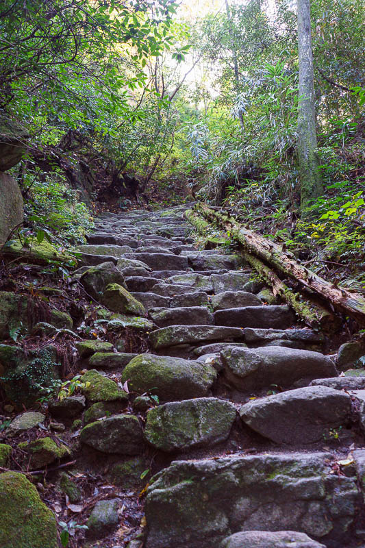Japan-Fukuoka-Hiking-Dazaifu - Very steep steps. After this theres a few chain / rope pull sections over rock face, but very easy comparatively.