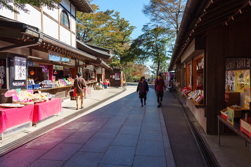 Of course I am back in Japan yet again - Oct and Nov 2018 - Every temple needs a shopping mall.