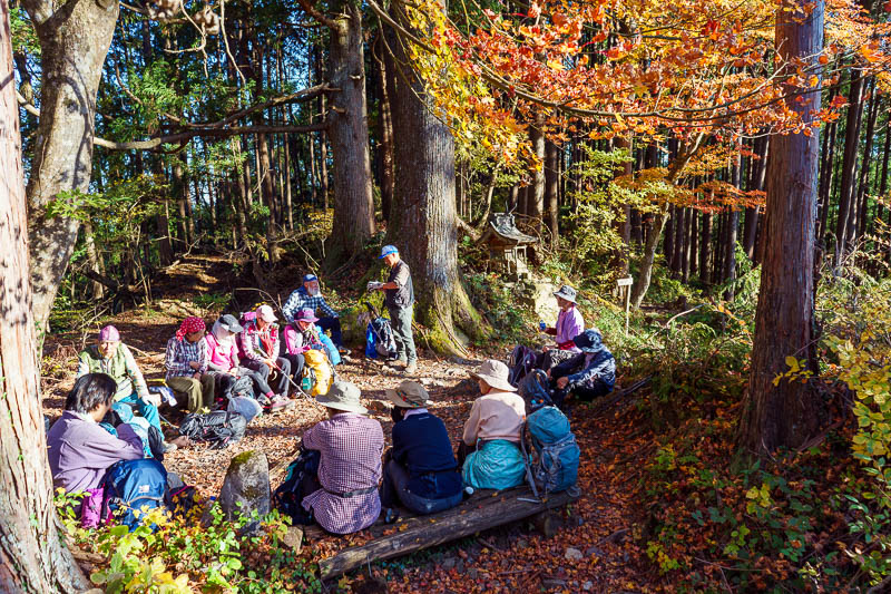 Japan-Tokyo-Hiking-Mount Kawanori - 2/3 of the way down you come to a logging road, a tiny shrine, and a heap of people having their UMPTEENTH tea break for the day. I got mass Konichiwa