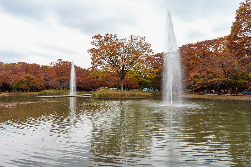 Japan-Tokyo-Yoyogi - Here is a bit more fountain and tree death.