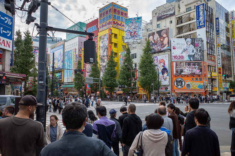 Japan for the 9th time - Oct and Nov 2019 - I was a bit early for the actual main street to be closed off in Akihabara, but there were lots of people even before lunch time, including lots of pe