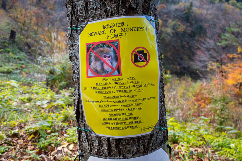 Japan-Hiking-Omoshiroyama-Yamadera - I took note of the monkey warning, a nice difference from the usual bear warning.