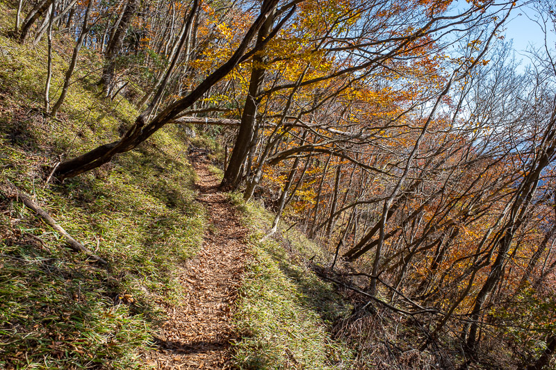 Japan-Hiking-Okutama-Mount Gozenyama - Over the other side of the ridge, nice and colorful.