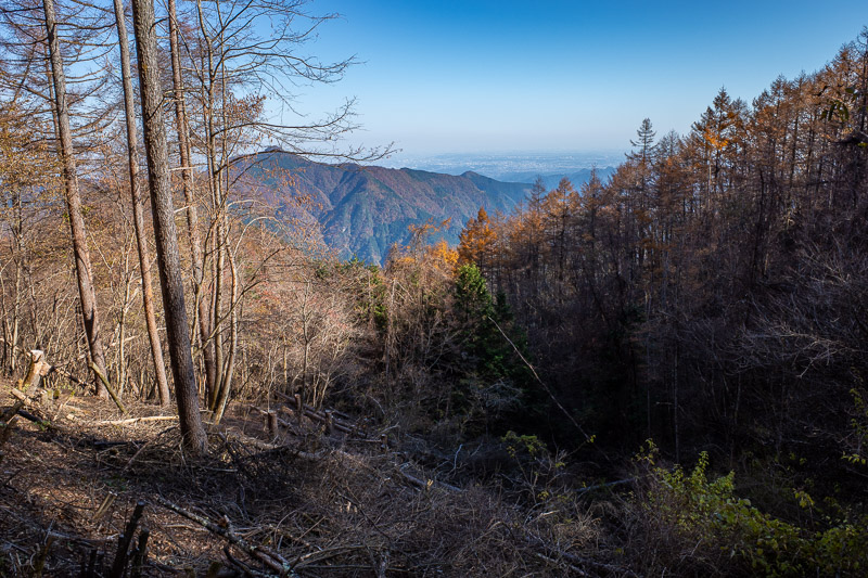 Japan-Hiking-Okutama-Mount Gozenyama - I heard people.