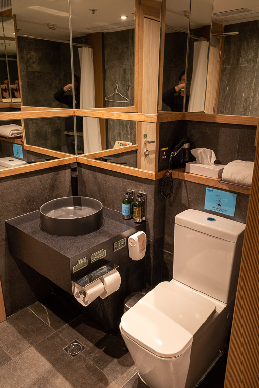 Japan for the 9th time - Oct and Nov 2019 - I have not much else to do, so heres a photo of a toilet and mirrors and whatever. Squint and you can see me.