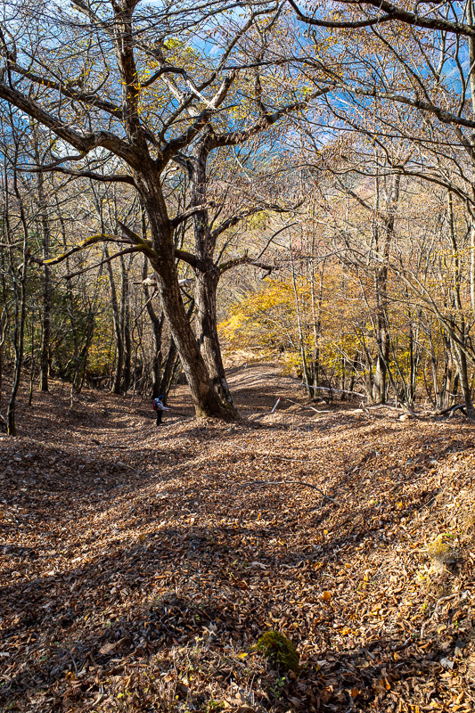 Japan-Hiking-Okutama-Mount Gozenyama - That does not look very steep, but its REALLY steep.