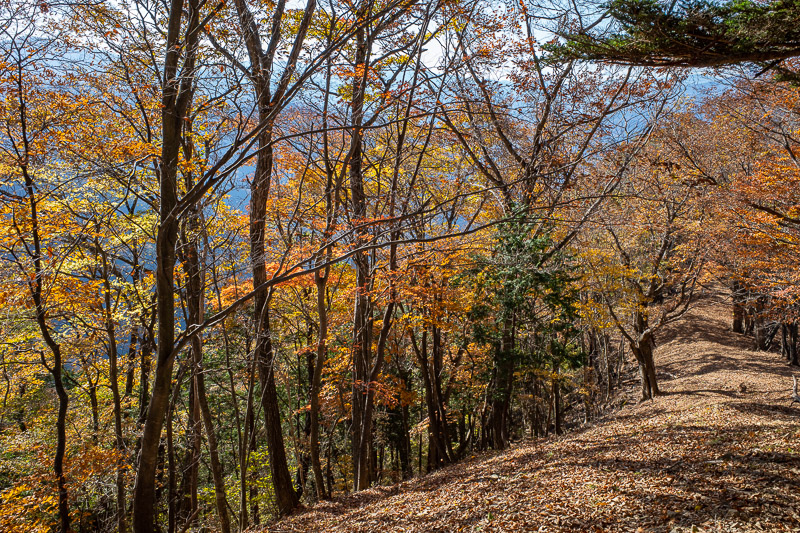Japan-Hiking-Okutama-Mount Gozenyama - Bonus color, and many many leaves.