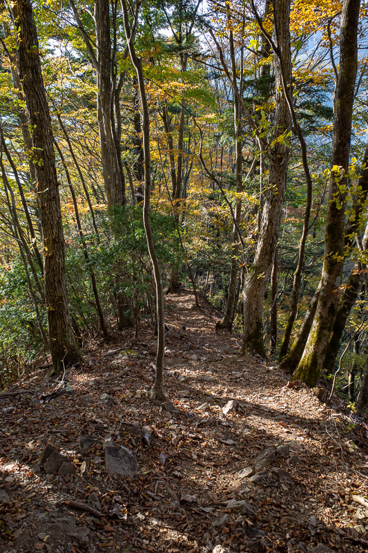 Japan-Hiking-Okutama-Mount Gozenyama - It was a surprisingly long way down, with some bonus ropes to hang on to.