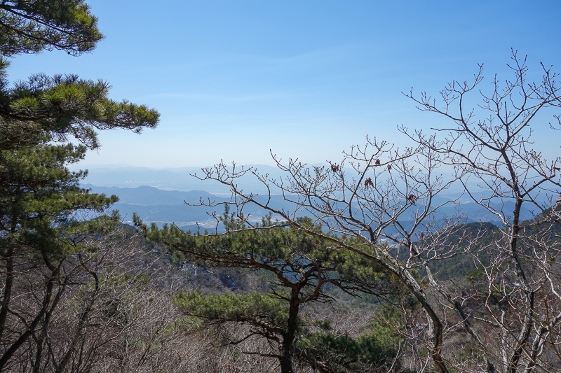 Korea again - Incheon - Daegu - Busan - Gwangju - Seoul - 2015 - View from half way up. The pine trees all seemed to be bonsai.