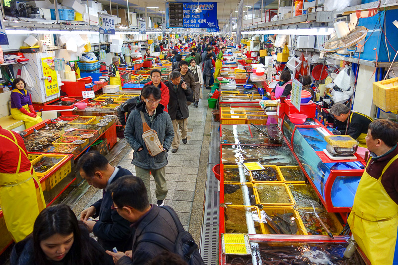 Korea again - Incheon - Daegu - Busan - Gwangju - Seoul - 2015 - Inside the multilevel wet market that goes as far as the eye can see. Everything is alive, and leaping out of those tanks and plastic buckets.