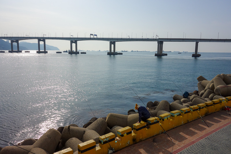 Korea again - Incheon - Daegu - Busan - Gwangju - Seoul - 2015 - This is a different bridge to the other day. Busan loves to build bridges that save you about 19 seconds on your commute. Theres a huge amount of very