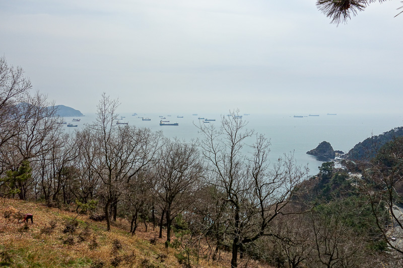 Korea again - Incheon - Daegu - Busan - Gwangju - Seoul - 2015 - I decided to try and go over some small mountains on the way back because I just cant help myself. This gave another view of the rumbling ships.